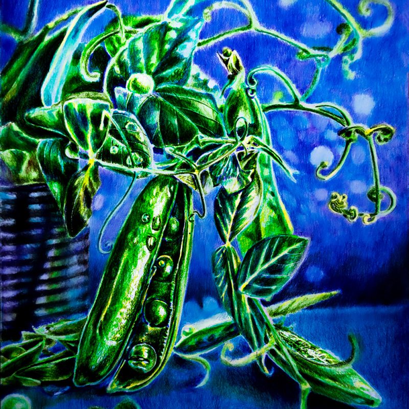 Царь горох ВК mini